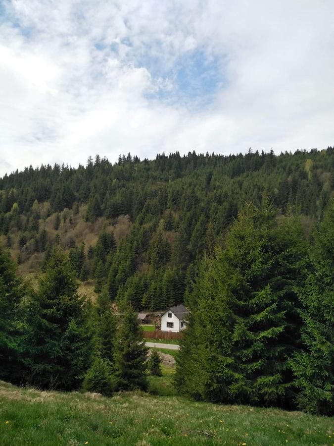 Вилла Csillag Kulcsoshaz Георгени Экстерьер фото