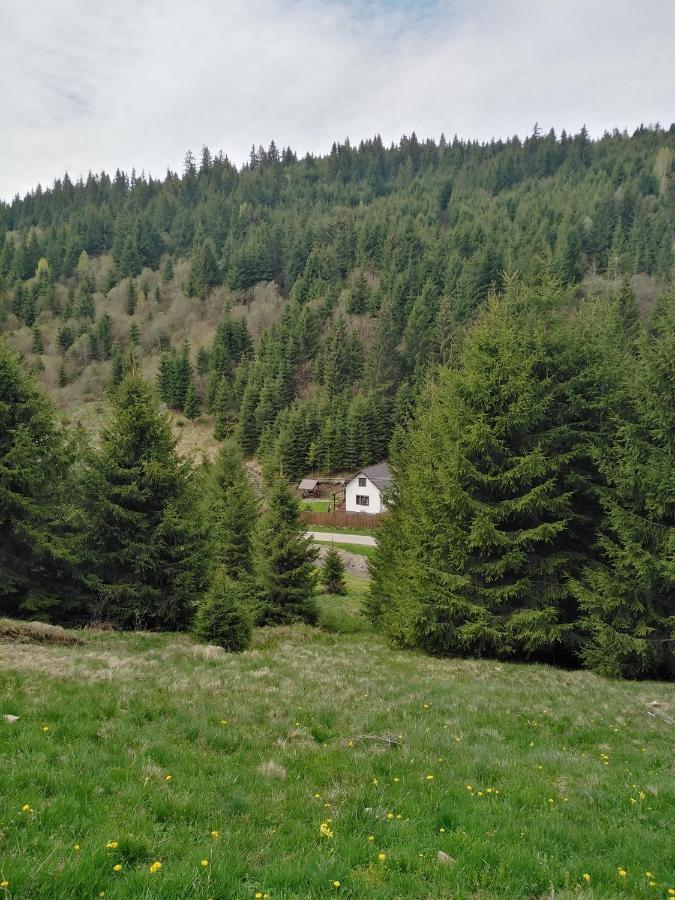 Вилла Csillag Kulcsoshaz Георгени Экстерьер фото